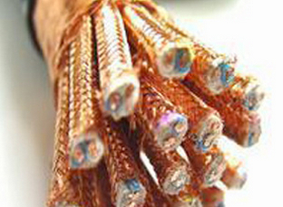 Ӌ(j)C(j)|Q(chng)DCSϵy(tng)|-Shielding Cable for Computer Application(Cable for DCS Syst